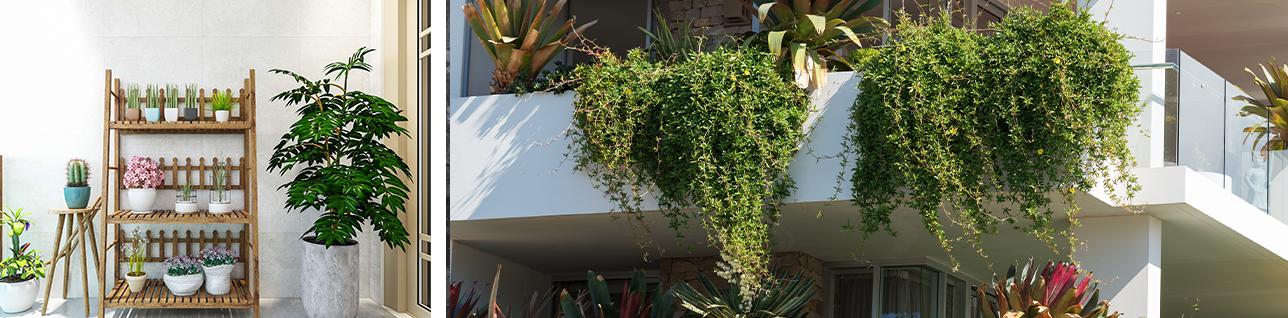 balcon avec jardin vertical et grande plante descendante 