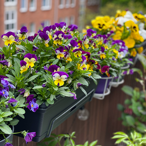 Jardinière et pots de fleurs pour balcon