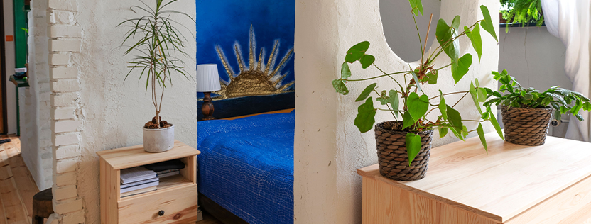 chambre méditerranéenne plante, murs blancs, peinture bleus