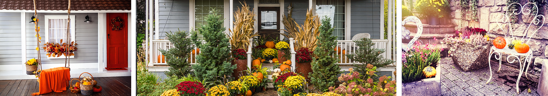 porche pour halloween avec couronne, seuil avec fleurs automnales et jardin avec citrouille banc