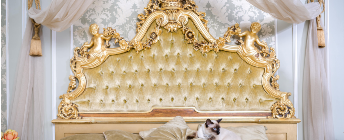lit baroque jaune avec chat dessus